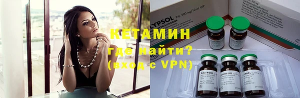 прущие грибы Михайловка