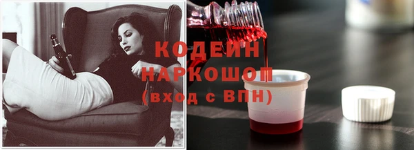 прущие грибы Михайловка
