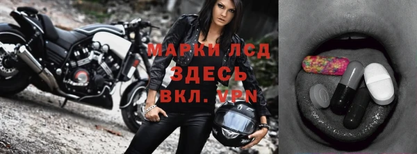 прущие грибы Михайловка