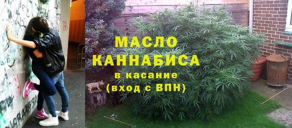 прущие грибы Михайловка