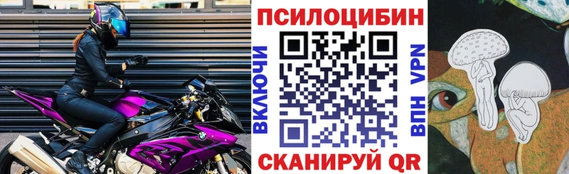 маркетплейс телеграм  Пласт  Псилоцибиновые грибы прущие грибы 
